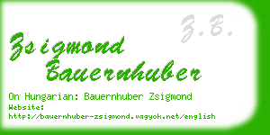 zsigmond bauernhuber business card